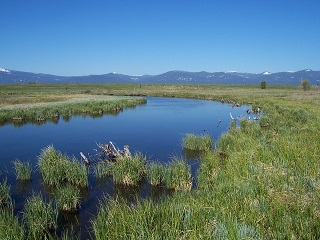 نهر الحب