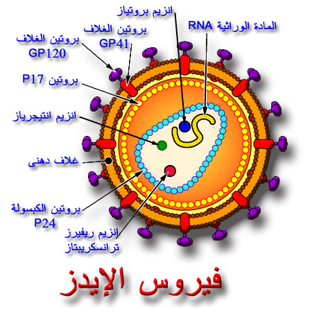 المرض الاكثر فتكاً بالبشر….. 